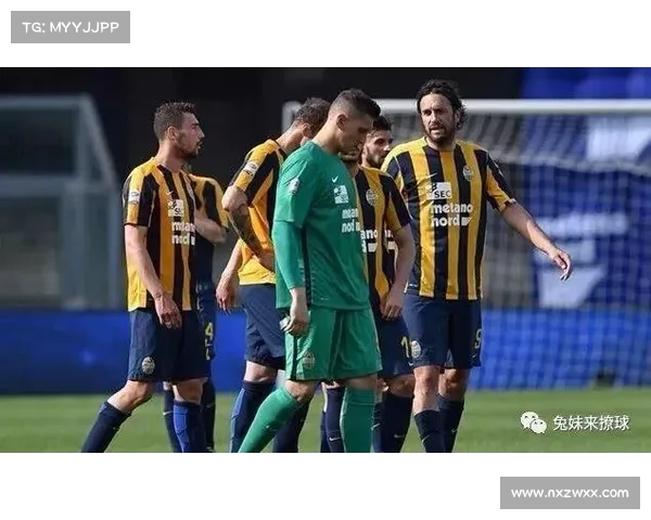 如何克服意甲球场建设面临的挑战与解决方案探讨 如何克服意甲球场建设面临的挑战与解决方案探讨